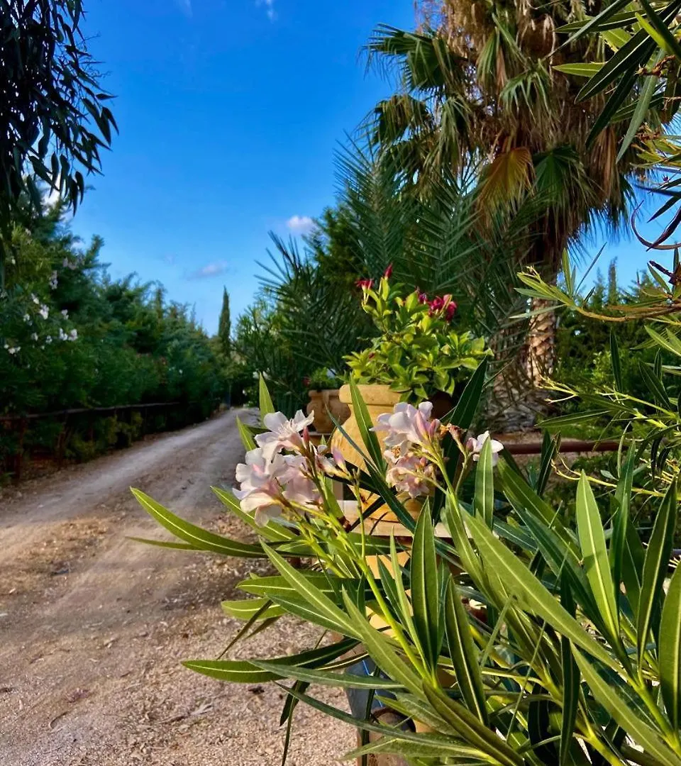 Seredipa A Scopello Tp Castellammare del Golfo Homestay